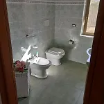 Sofia *