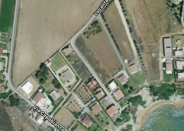 Sofia カーポ・リッツート